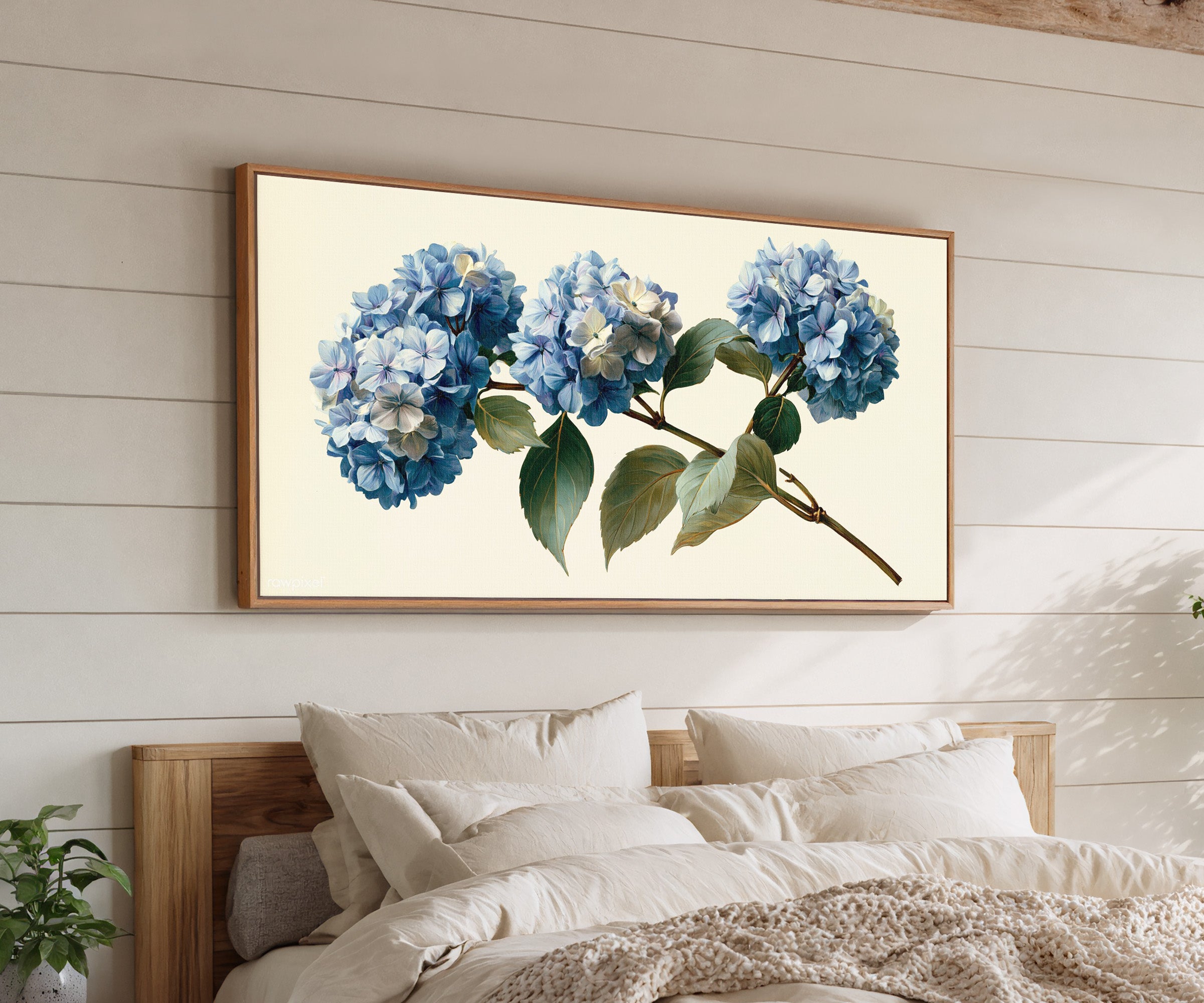single blue hydrangea stem with clustered blooms canvas wall art in an oak frame above a bed