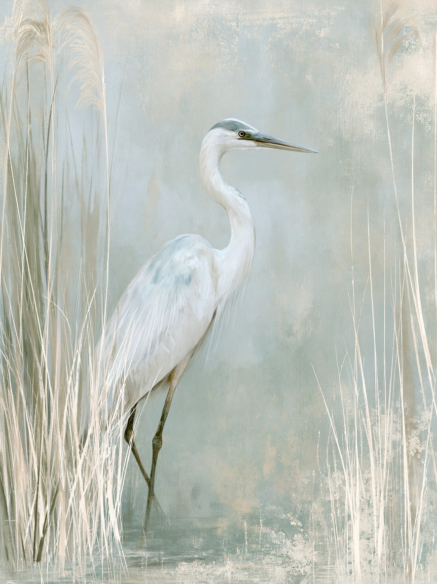 White heron in profile among pale marsh reeds with soft blue gray water reflections
