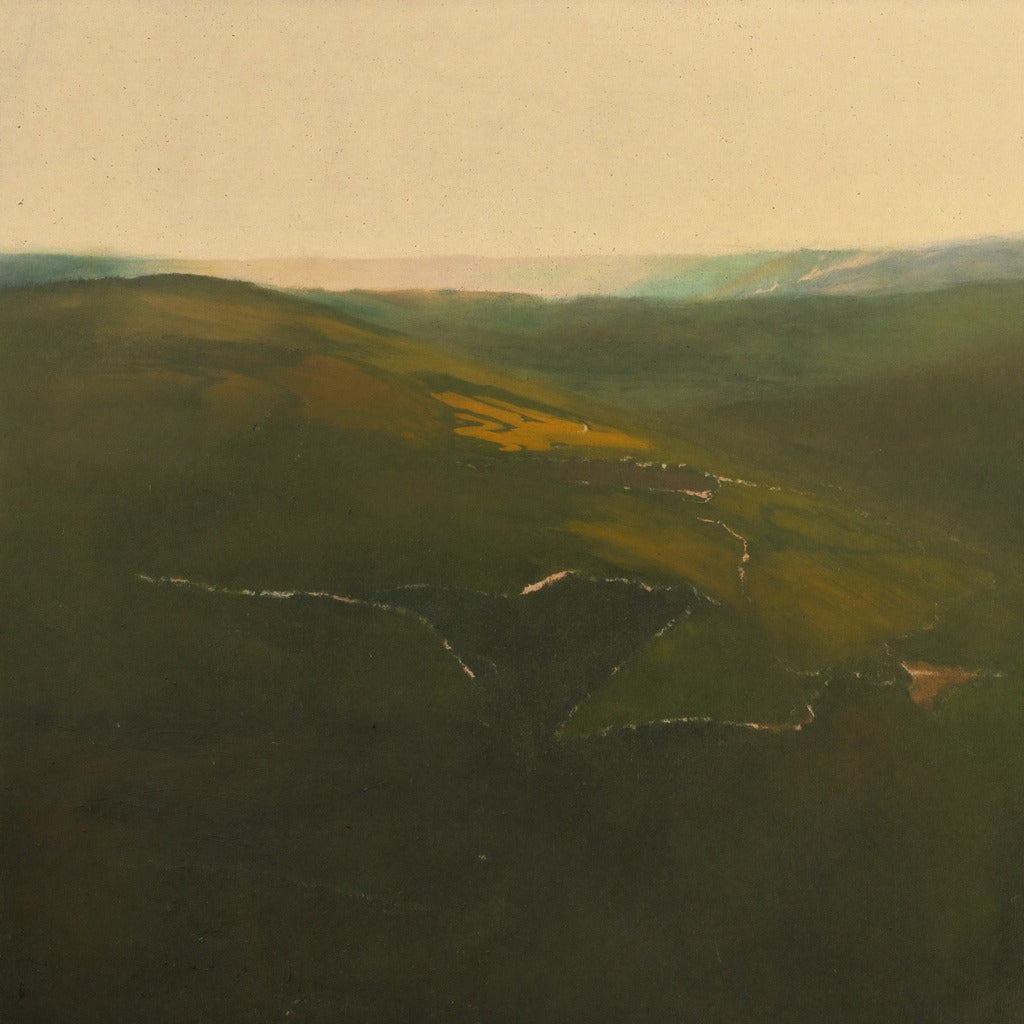 Winding river through dark green valley beneath a pale cream sky with clear color and shape detail