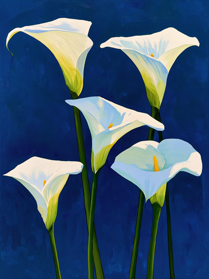 White calla lilies with green stems and yellow centers against a deep cobalt blue background