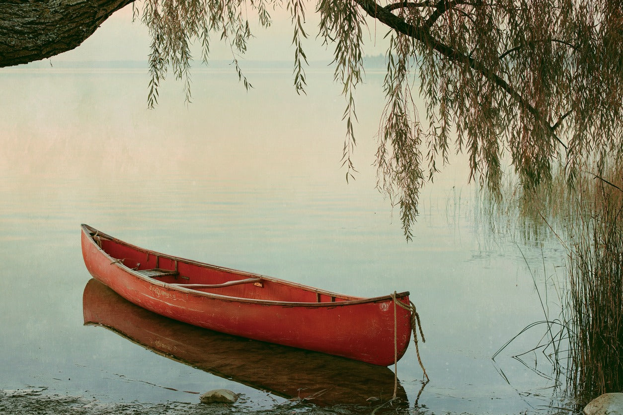 Red canoe floating in pale still water beneath hanging willow branches and soft haze