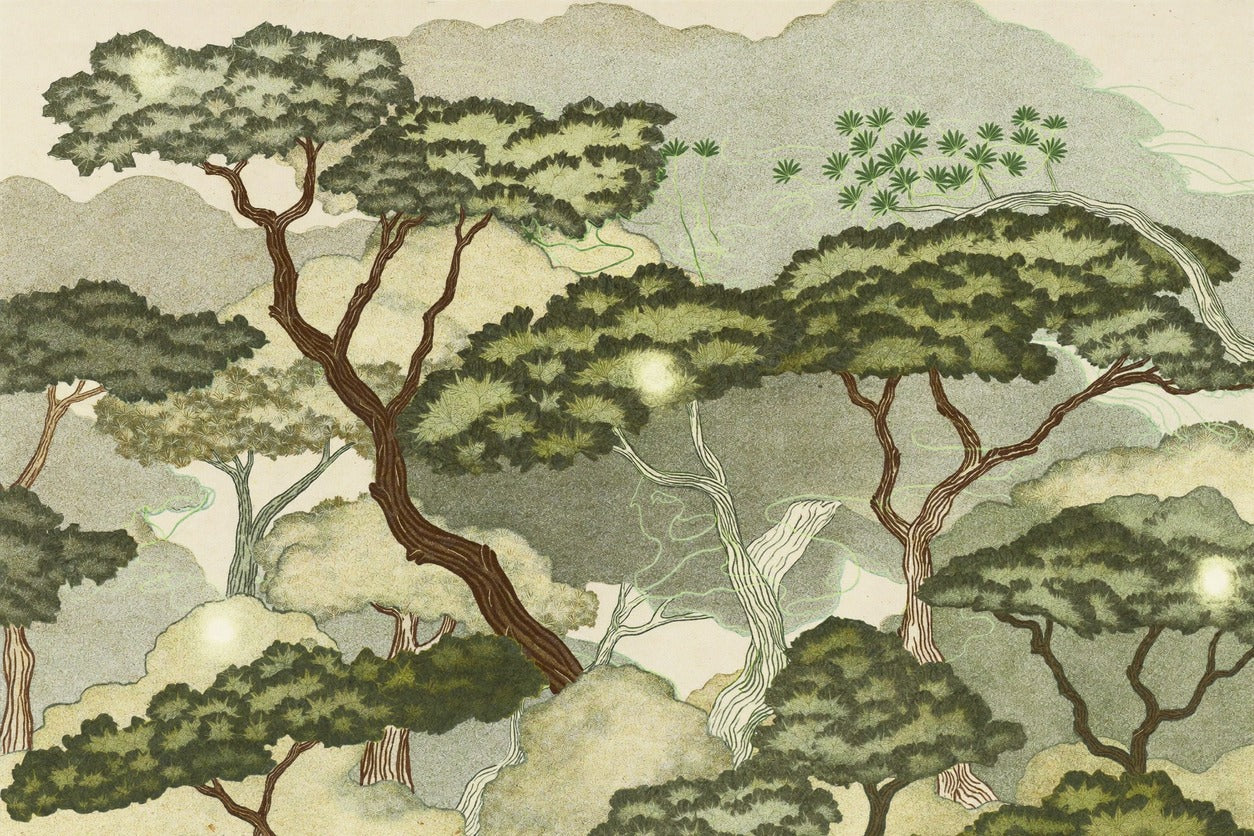 Layered tree canopies in olive and sage with winding brown trunks across a pale wooded landscape