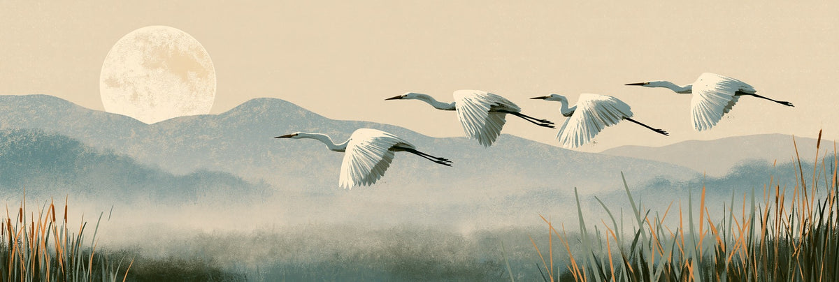 Four white egrets flying over misty blue hills, with a pale disk at left and ochre reeds below