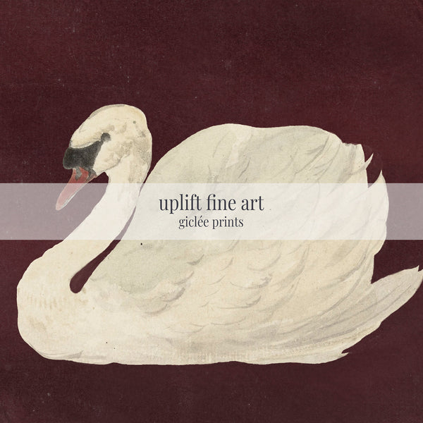 Tableau mural vintage cygne bordeaux