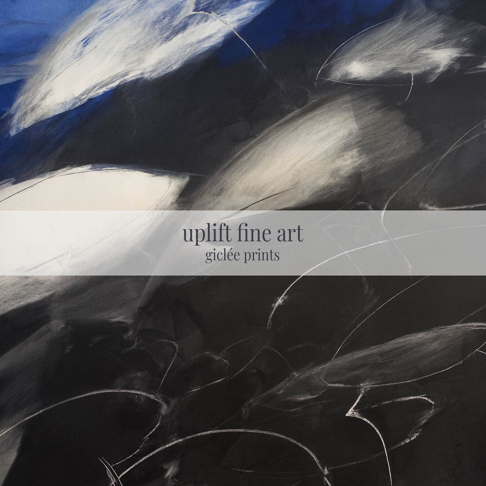 Abstract Dolphin Giclée Print - Abyss & Ascent