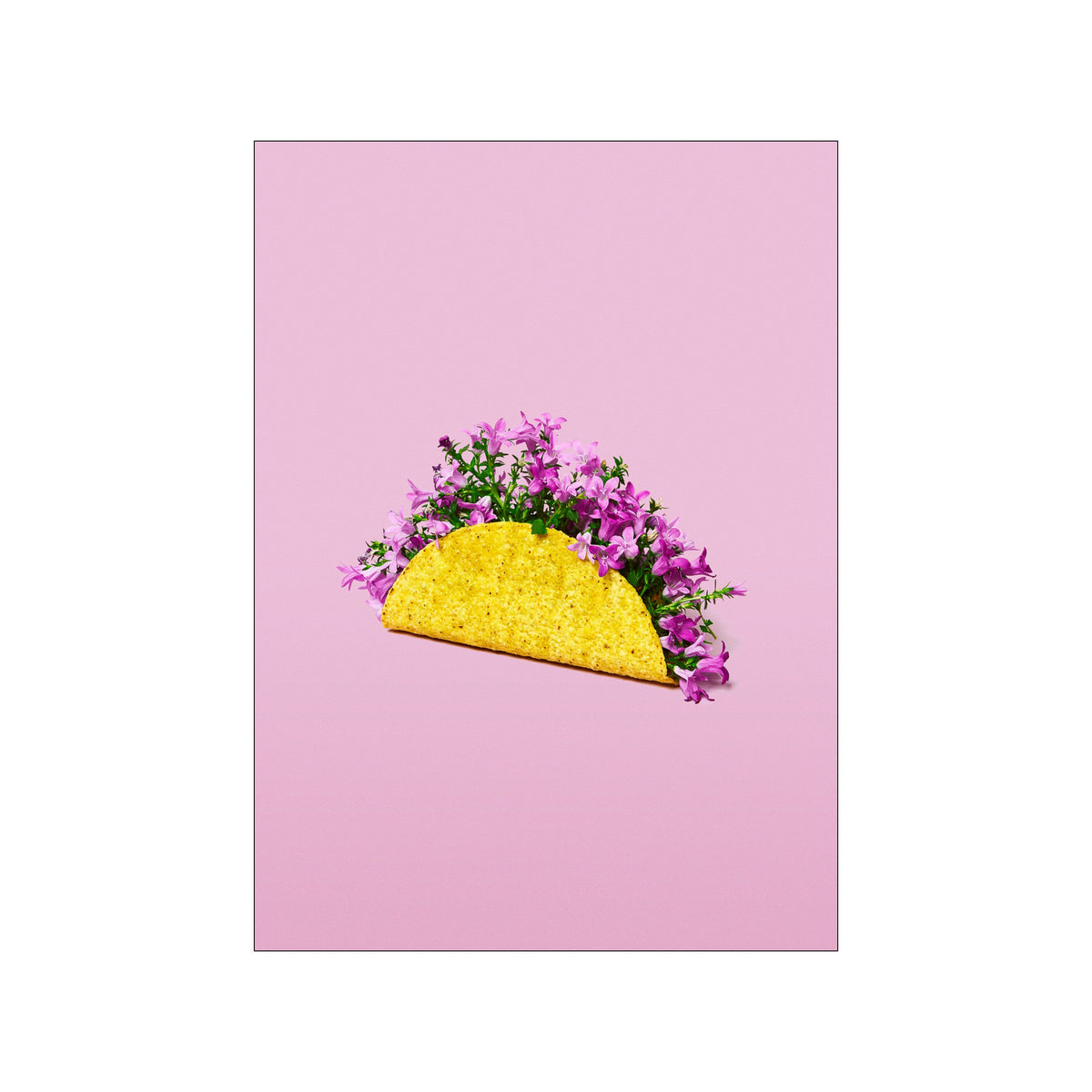 Yellow taco shell filled with pink flowers on a soft blush pink background