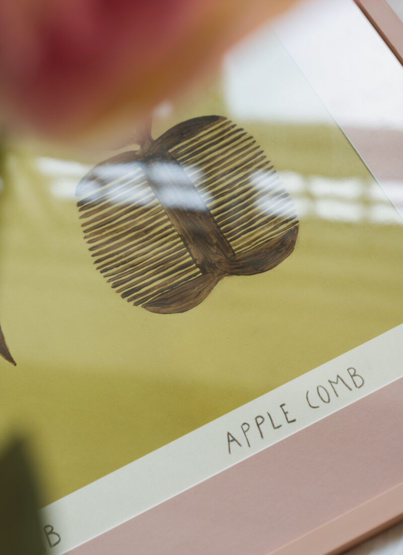 Horse and Apple Comb Art Print