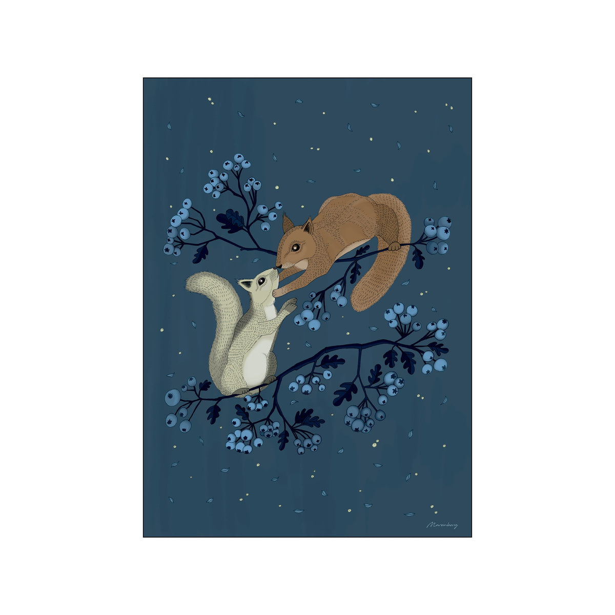 A charming illustration of two squirrels, one light grey and one brown, perched on a branch laden with blue berries against a dark, star-speckled night sky.