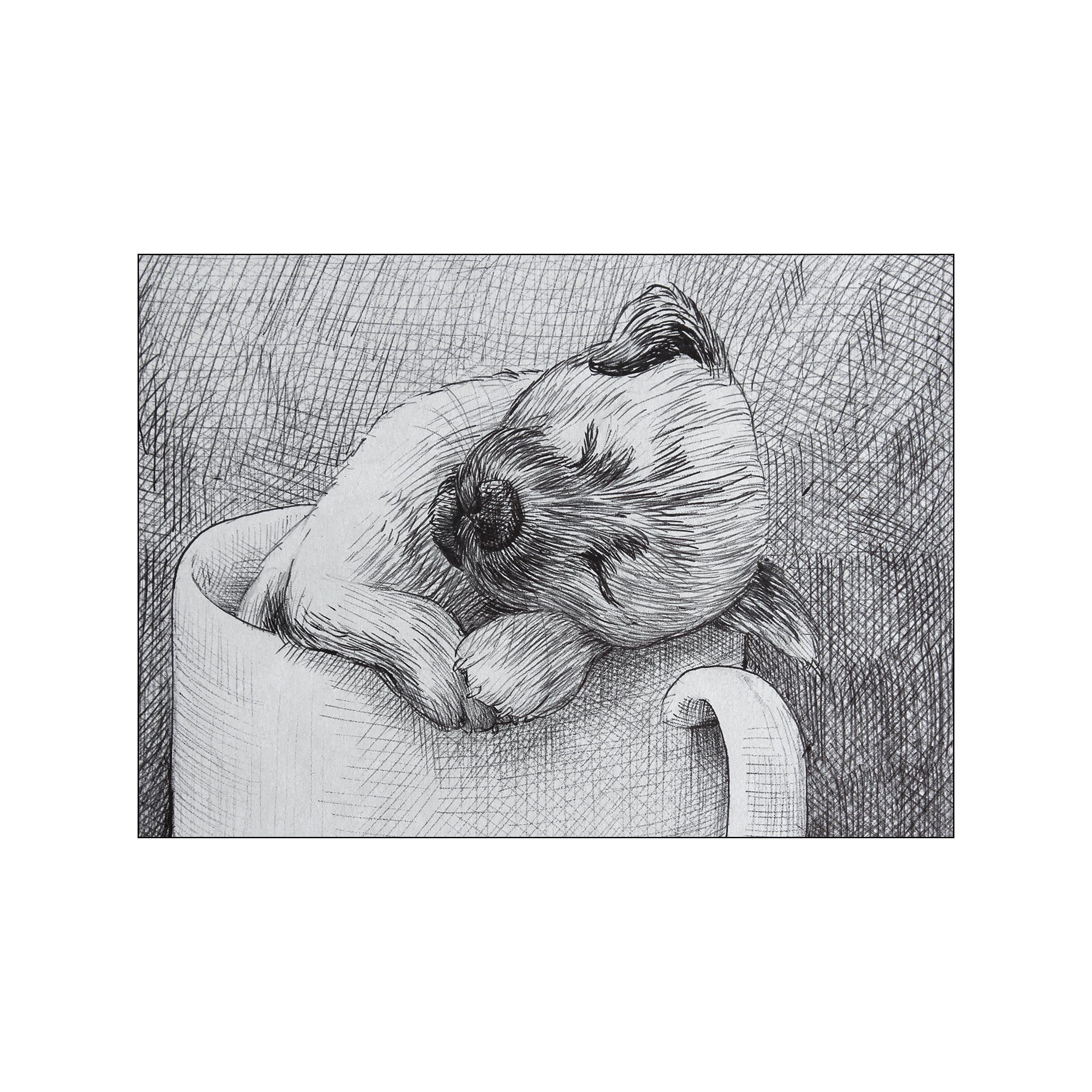 A black and white ink sketch of a small dog sleeping peacefully inside a ceramic mug, with a textured background. Evokes a vibe of comfort and simple charm.