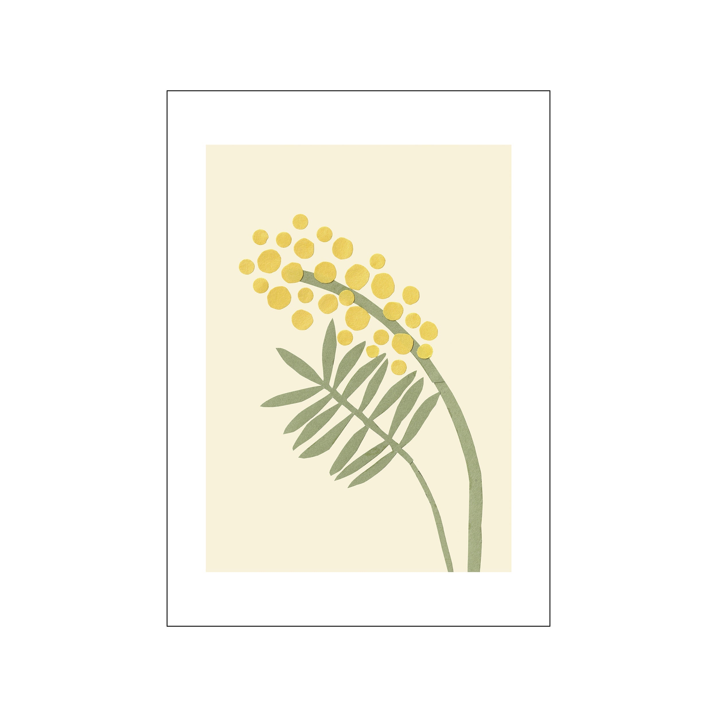 A close-up botanical illustration of an acacia branch with delicate green leaves and clusters of small, bright yellow blossoms against a soft cream background, evoking a serene and natural vibe.