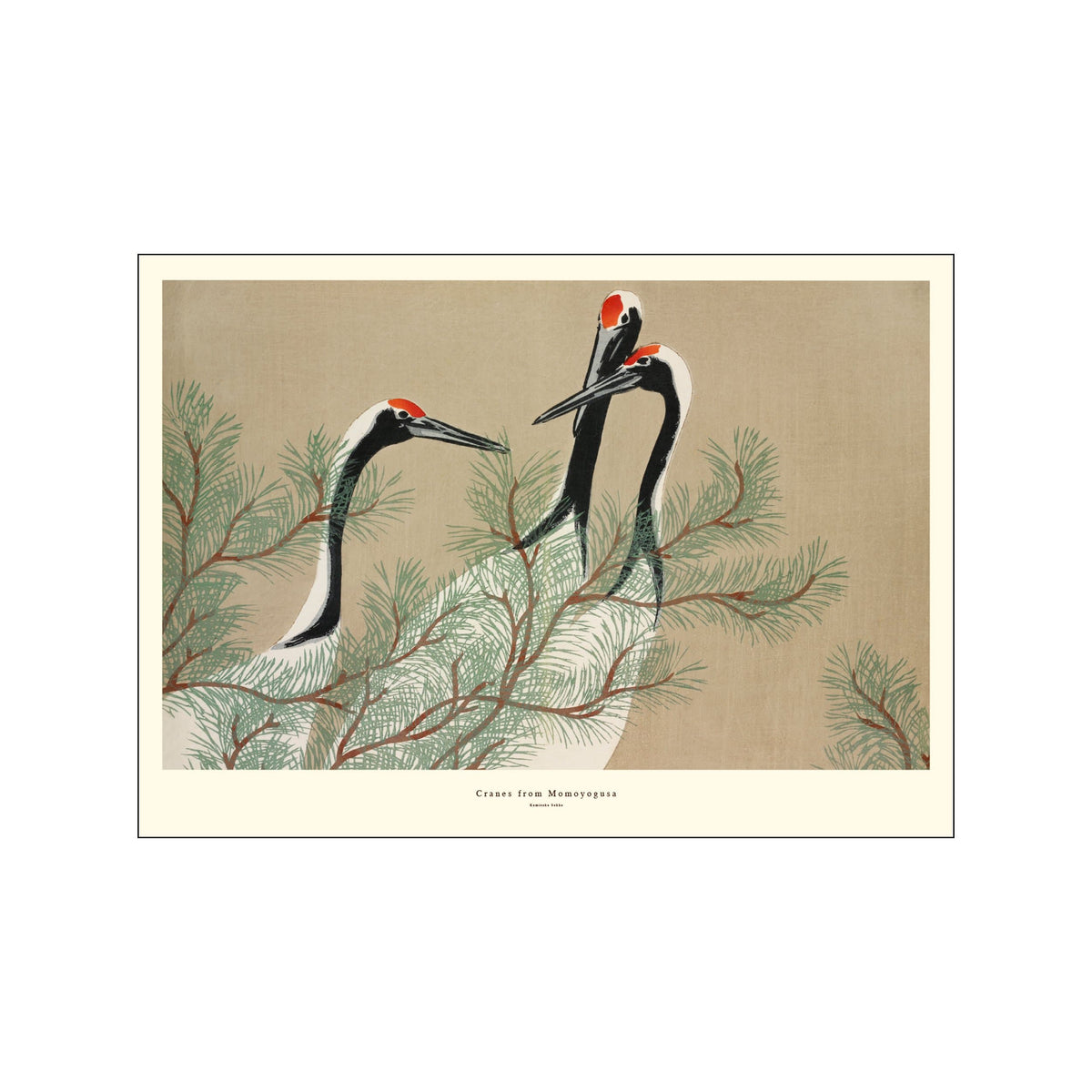 Three cranes with red crowns among delicate pine branches on a warm beige background