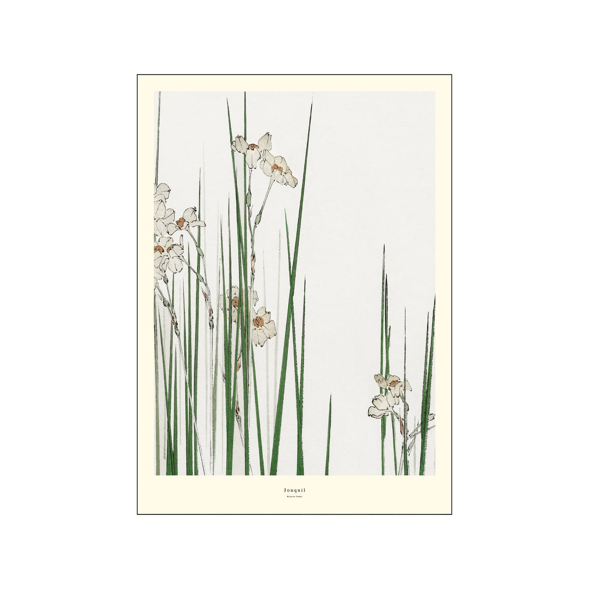 Minimal botanical print with white jonquil blooms and tall green stems on a pale ground