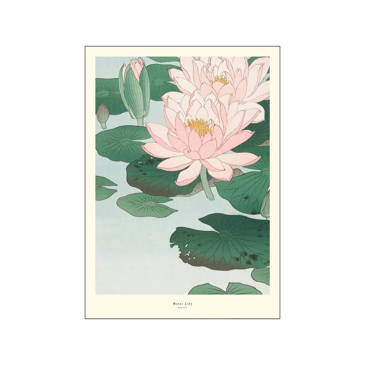 Pink water lilies and broad green lily pads arranged in a soft botanical composition