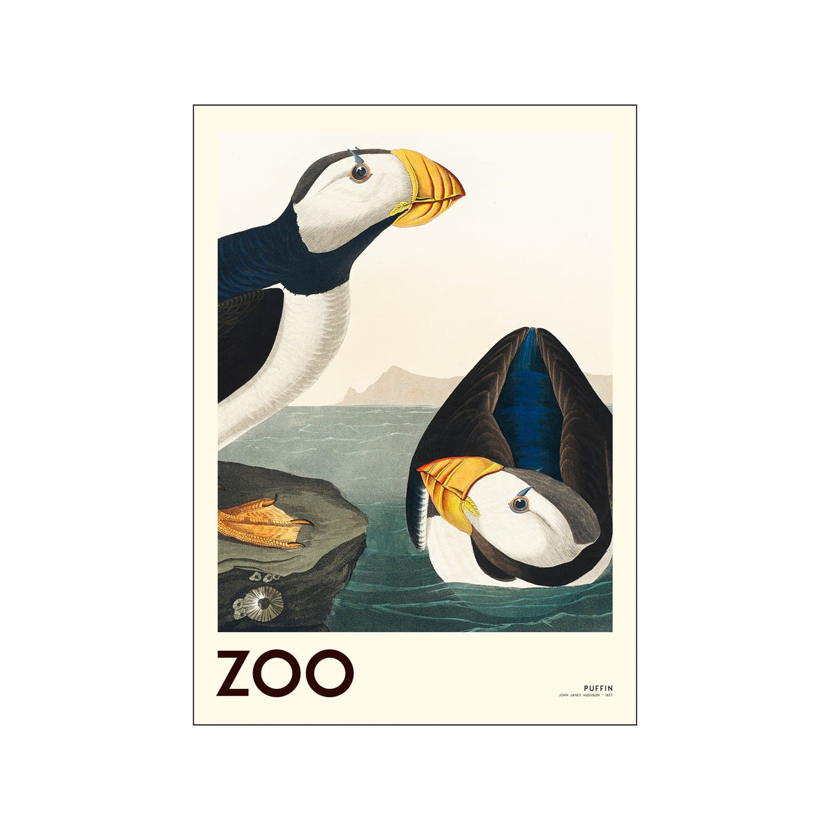 Vintage puffin poster with two birds, pale sea, and large ZOO lettering