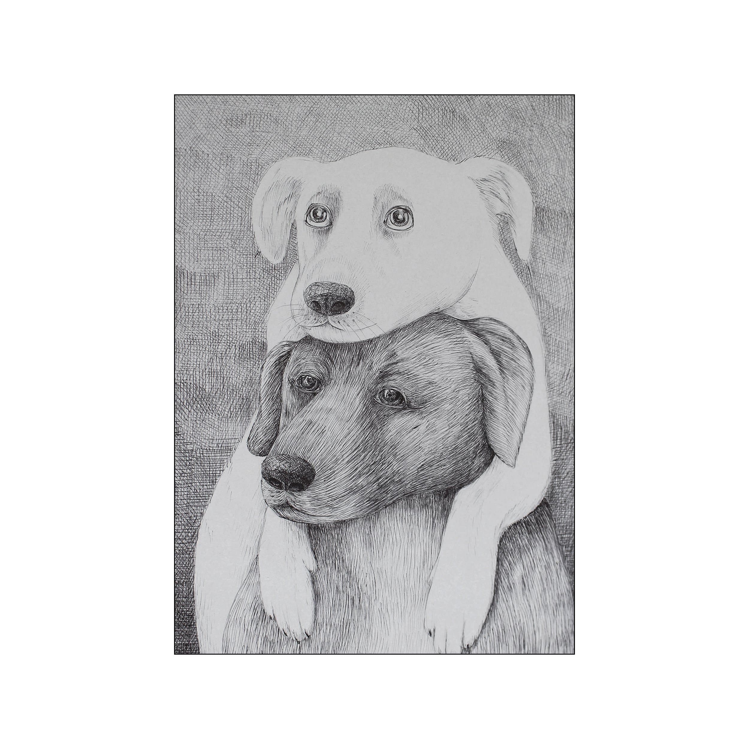 A black and white charcoal sketch of two dogs, one resting its head on the other's back, with soulful eyes and rendered in fine, detailed linework, conveying a sense of gentle companionship.