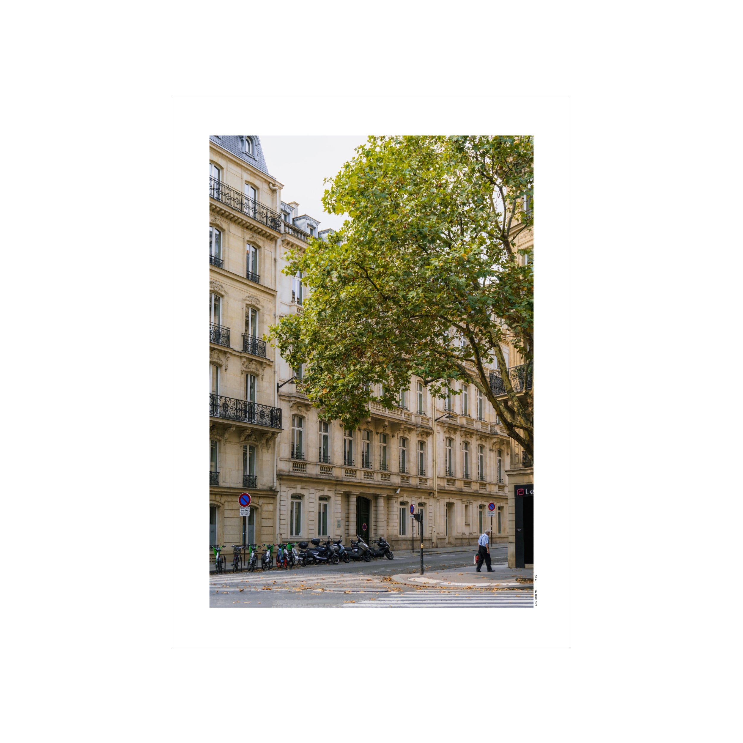A street scene in Paris with ornate stone buildings, a large green tree overhead, parked scooters, and a pedestrian crossing the street. The mood is quiet and elegant, with a muted color palette.