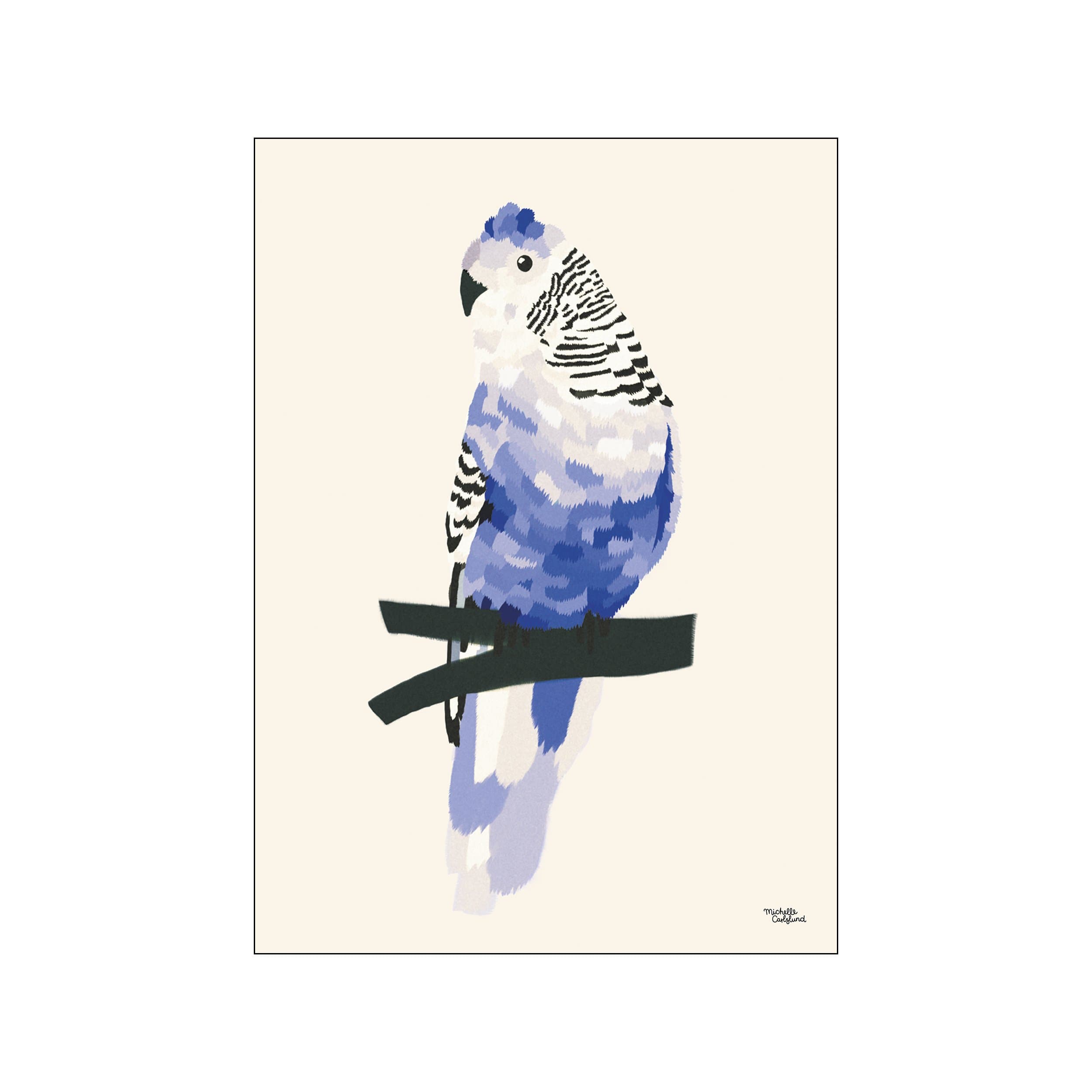 A charming illustration of a blue budgie perched on a dark perch, rendered with soft, textured brushstrokes in shades of blue, white, and black against a creamy background.