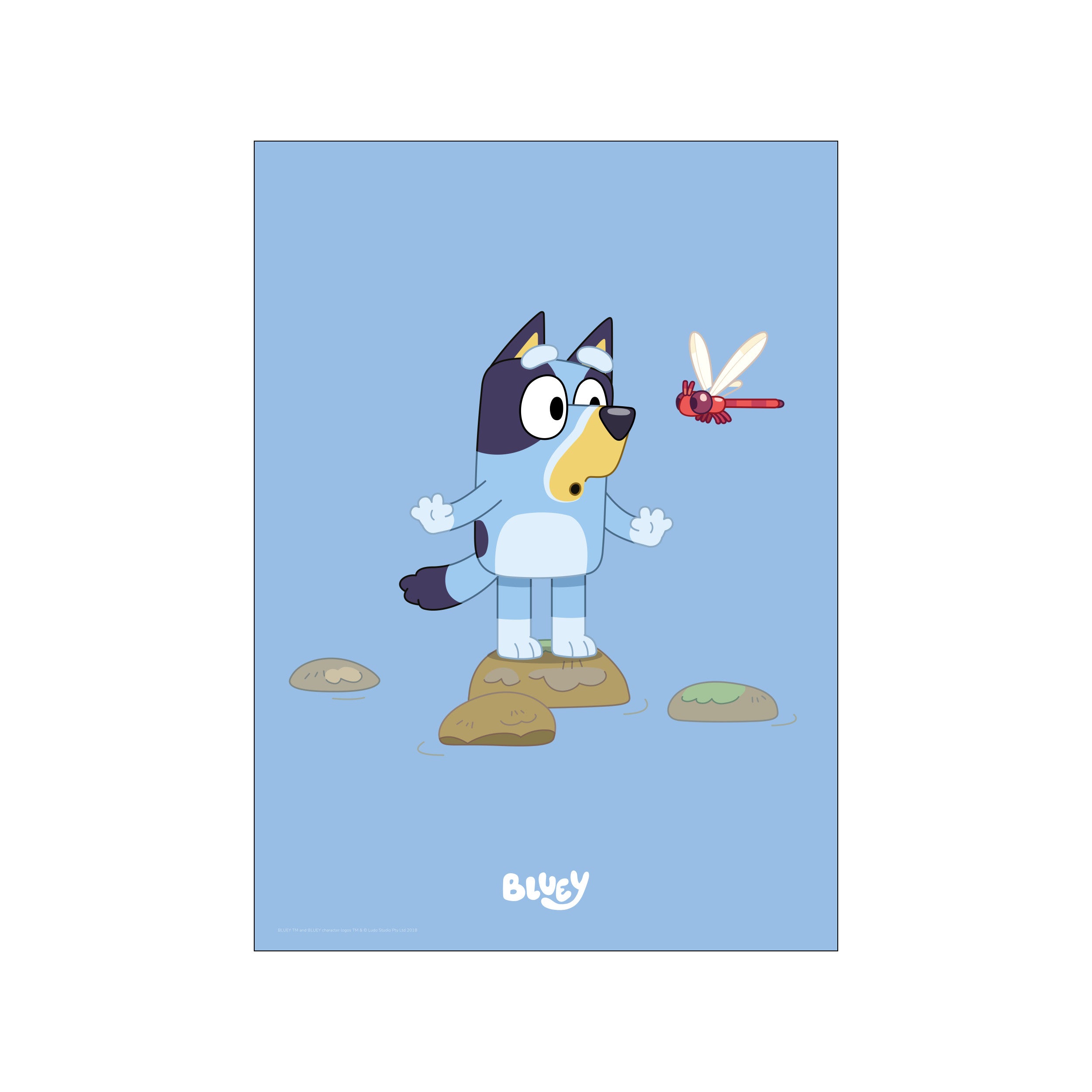 A light blue cartoon dog named Bluey looks with surprise at a bright red dragonfly. The scene is set on a soft blue background with simple rocks and water elements.