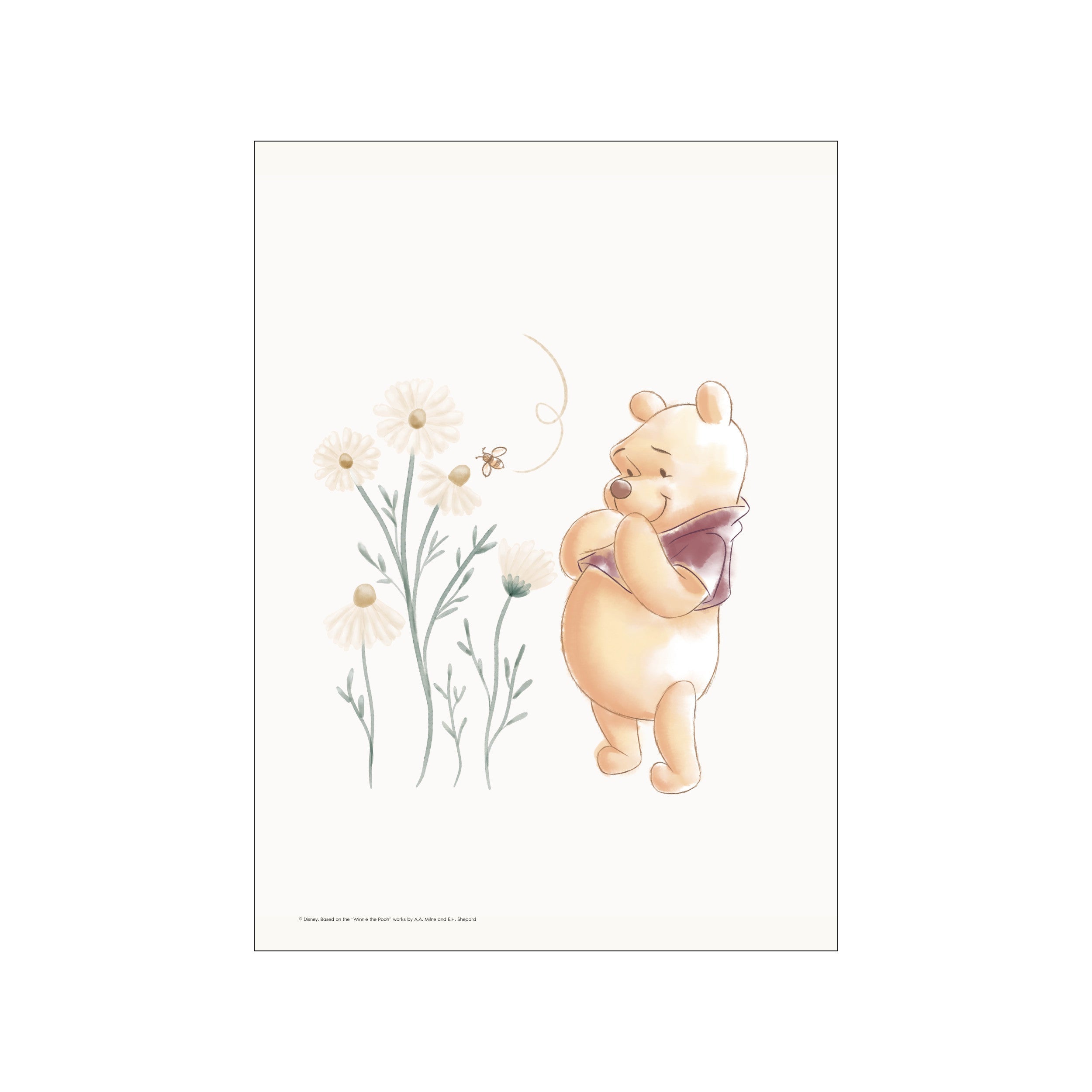 A gentle watercolor illustration of Winnie the Pooh looking curiously at a bee flying near a cluster of cream-colored daisies and soft green stems against a pale background.