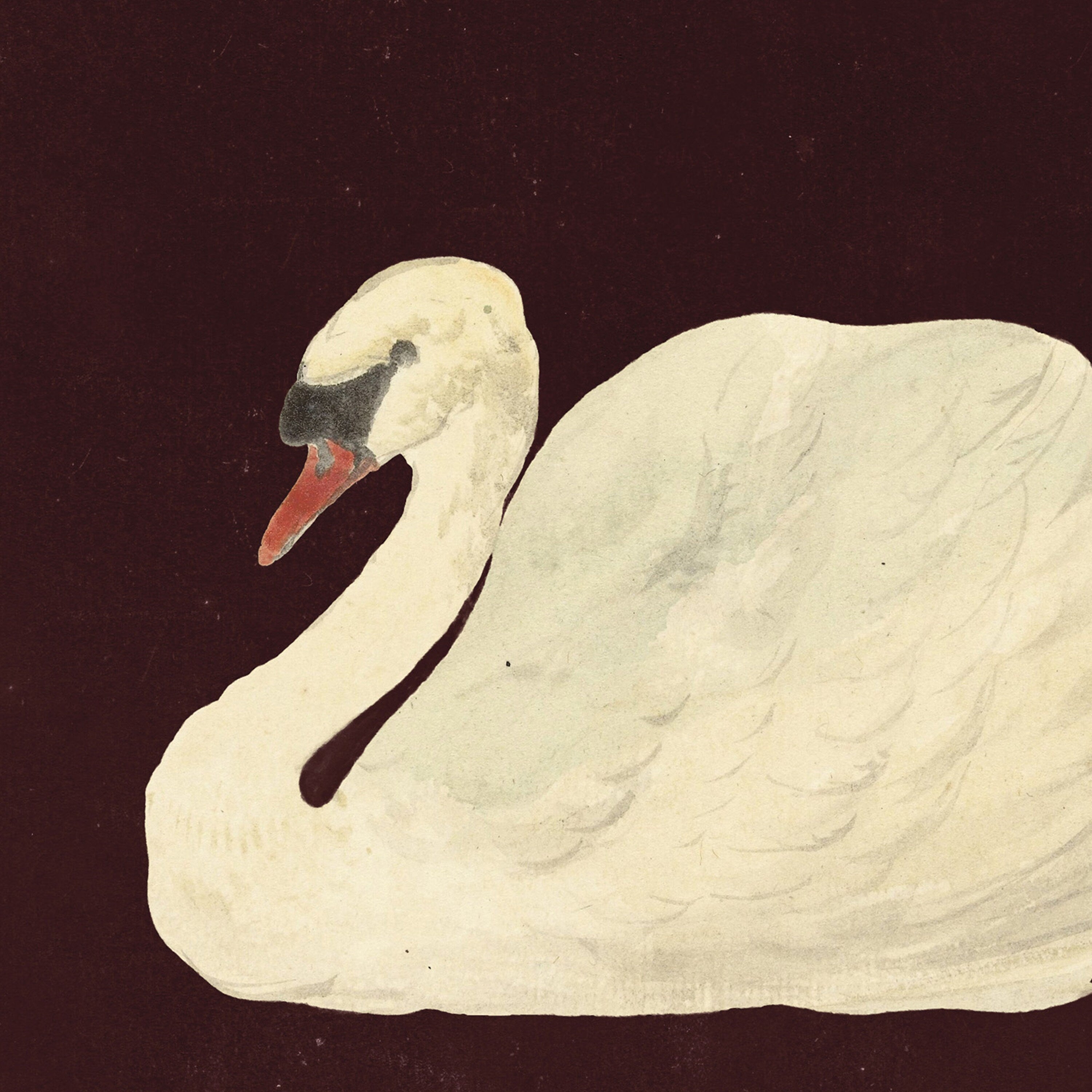 Vintage Swan Painting Canvas Art for Office - View 2