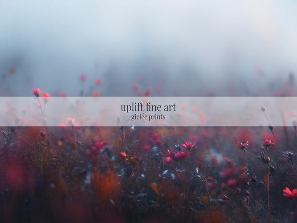 Wilflowers Art Print - Minimalist Canvas Art - View 2