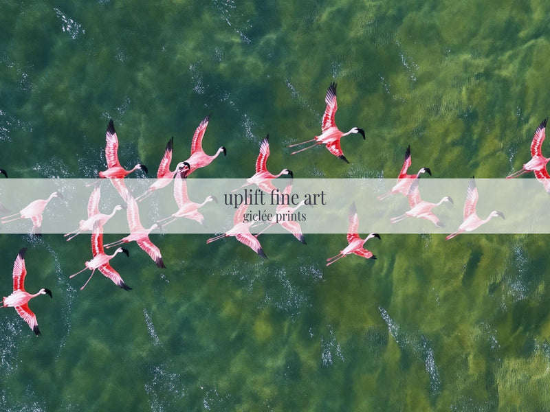 Flamingos Flying Over Emerald Ocean Art Print Canvas Art - View 2