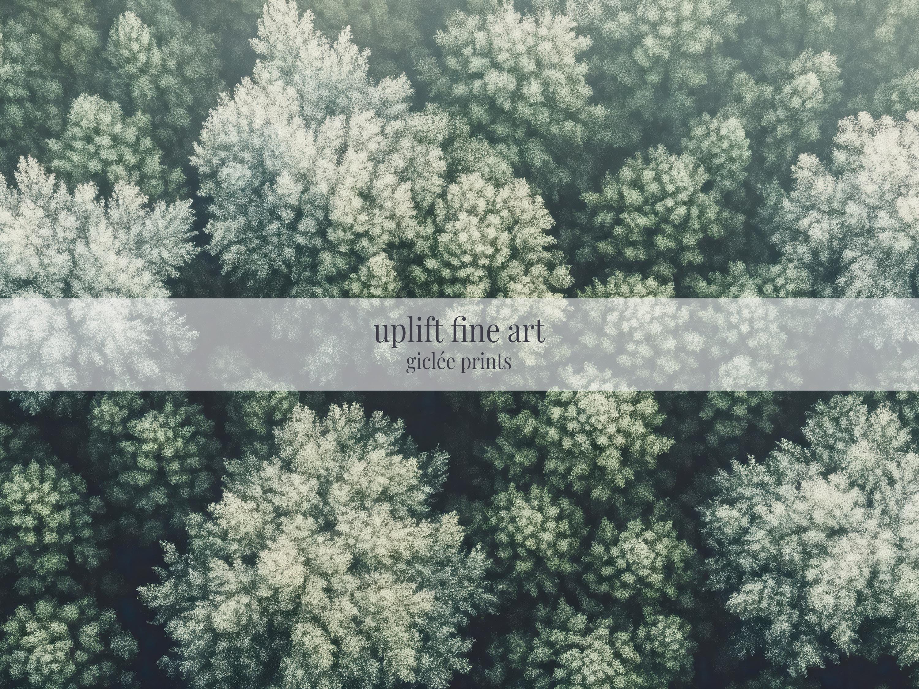 Moody Forest Canopy Aerial Wall Art Canvas Art - View 2