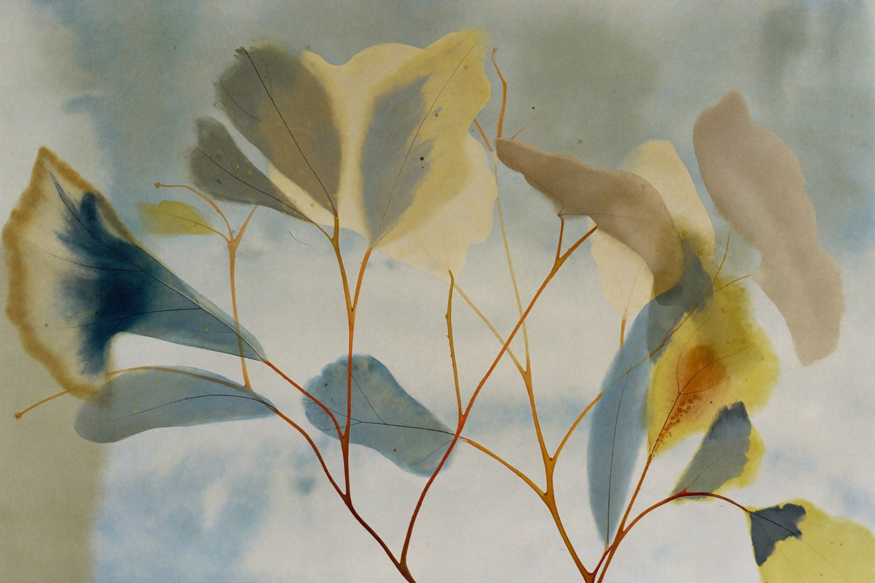 Blue, cream, and yellow leaf branch with thin orange stems across a pale ground