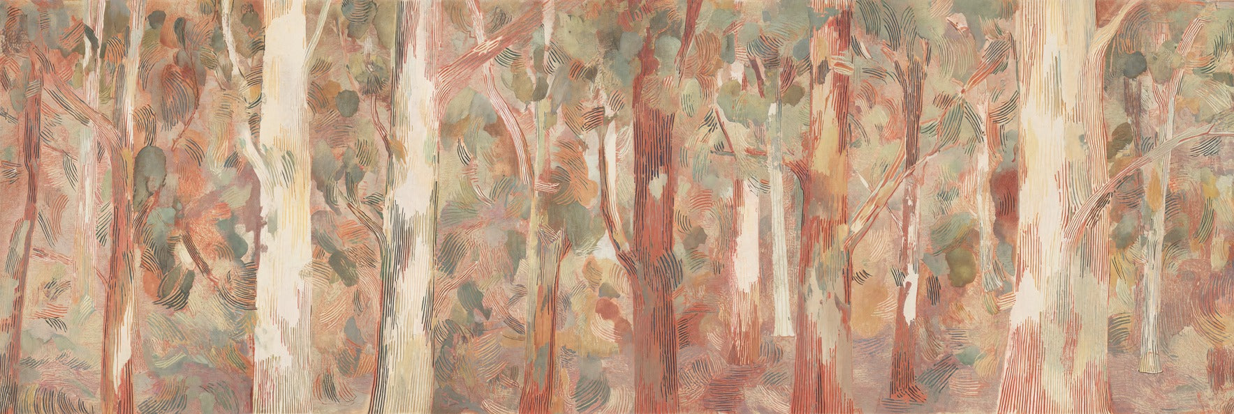 Pale eucalyptus trunks with rust and sage foliage layered across a wide forest scene