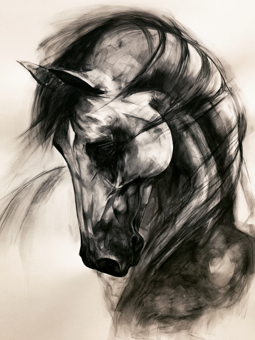 Close-cropped black horse portrait with sweeping mane lines on a pale ground