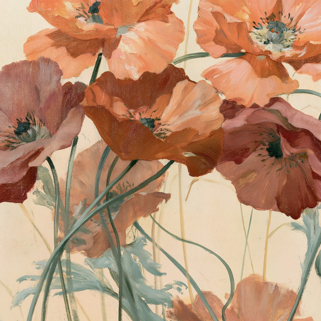 Apricot and rust poppy flowers with dark centers, thin green stems, and pale cream ground