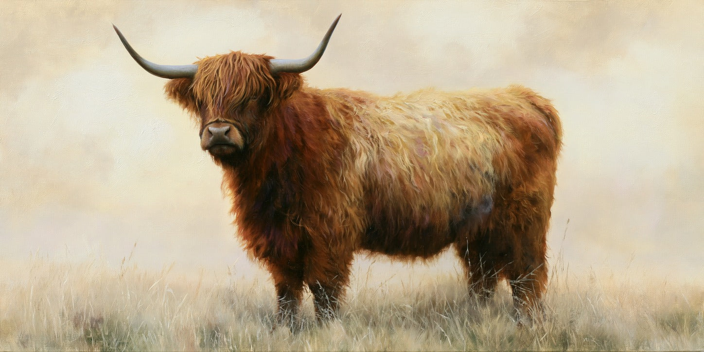 Warm brown Highland cow standing in pale dry grass beneath long curved horns