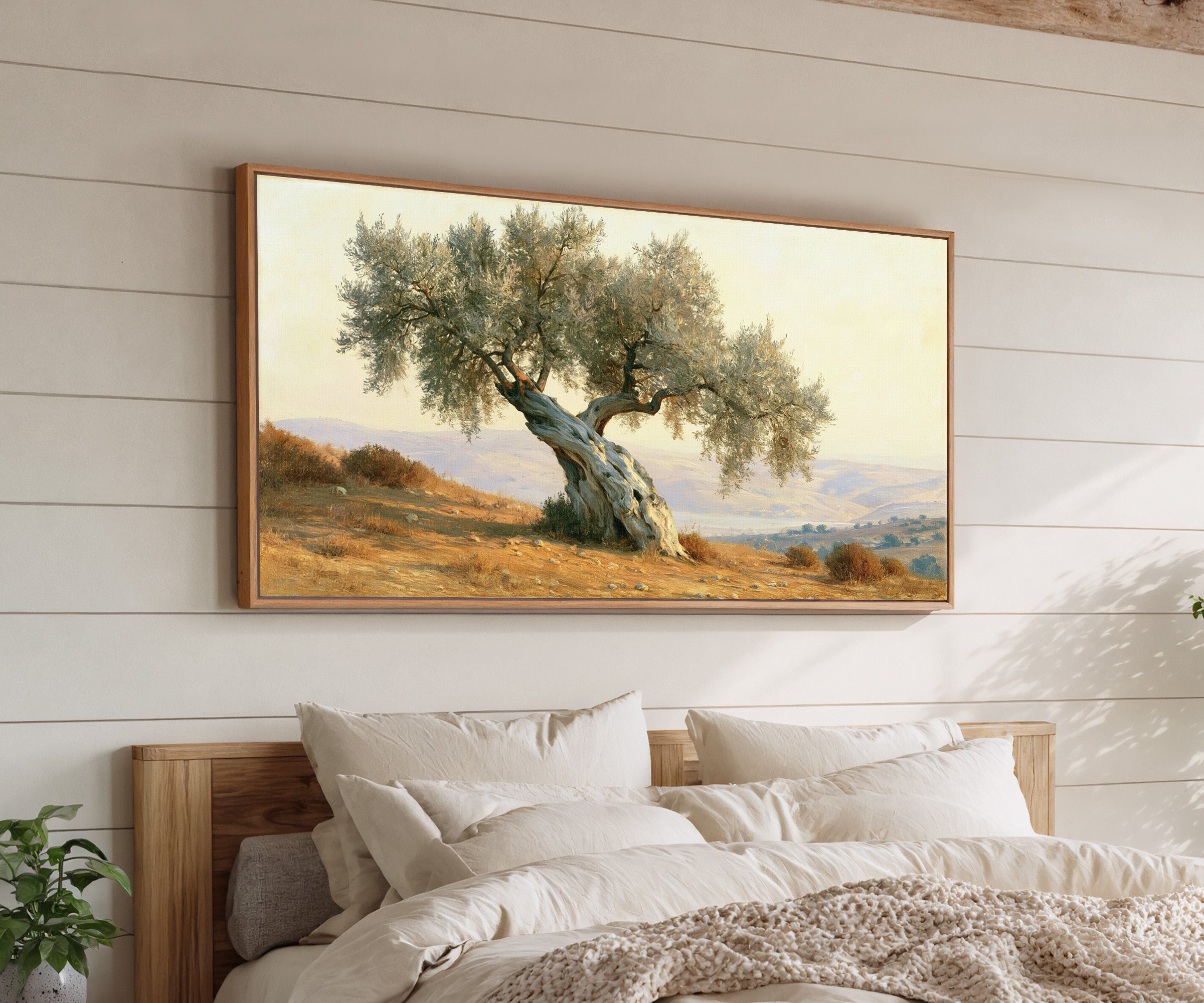 solitary olive tree on dry mediterranean hills canvas wall art in an oak frame above a bed