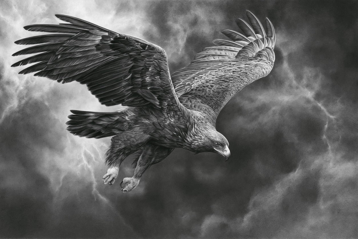 Golden eagle in a steep dive against layered storm clouds, wings spread wide in black and white