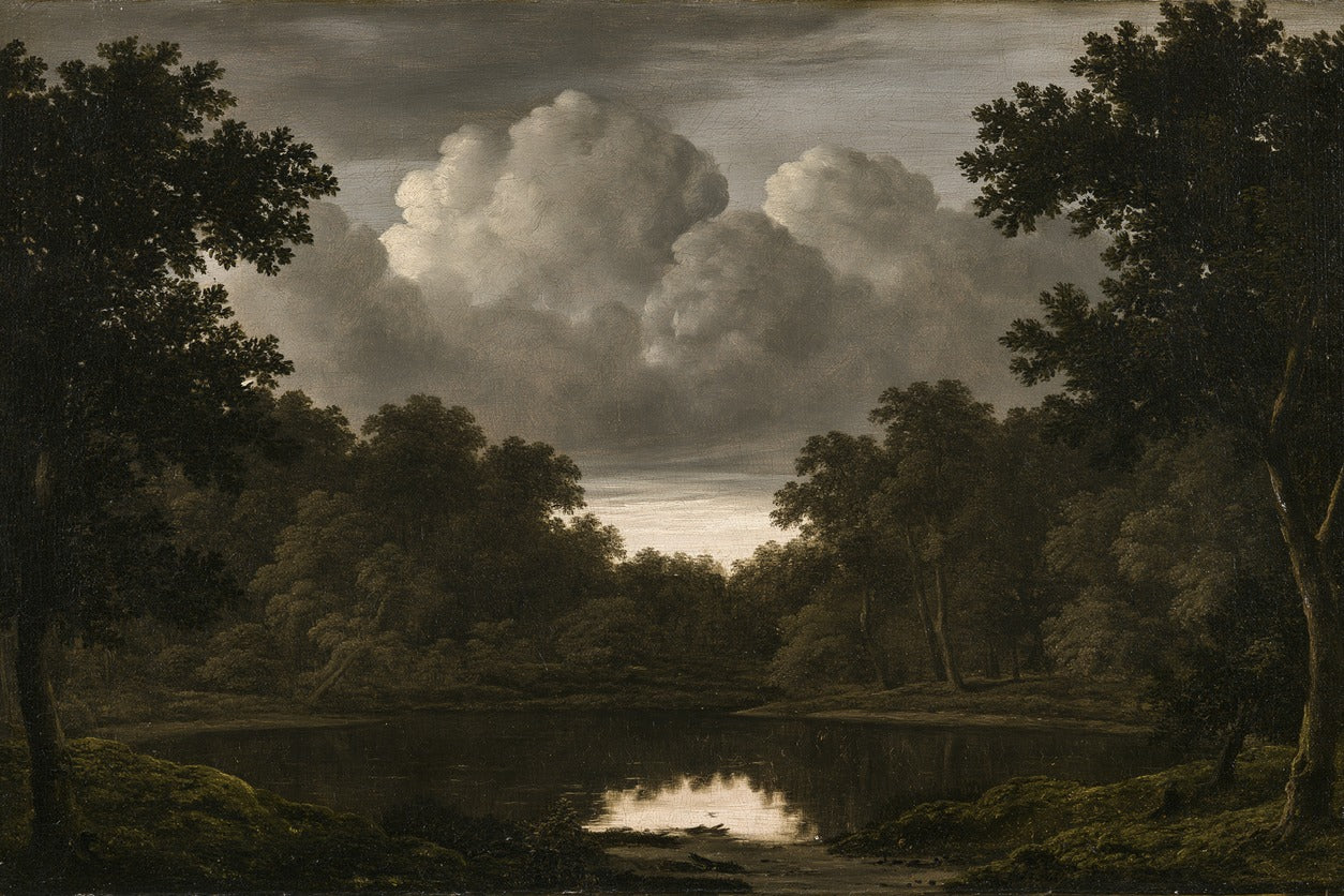 Storm Pool — Woodland Landscape Canvas Wall Art
