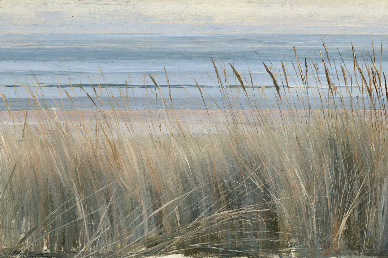 Dune Line — Beach Grass Canvas Wall Art