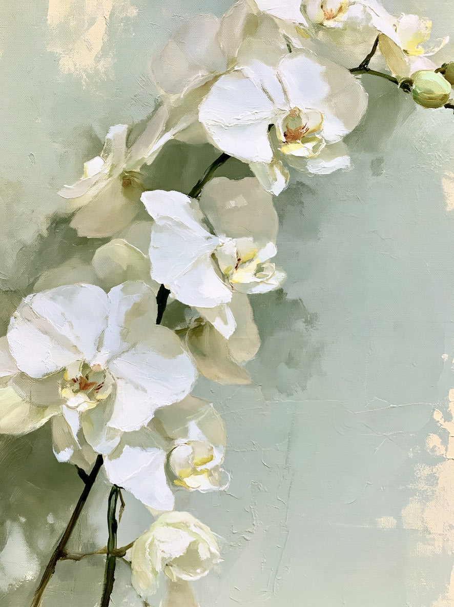 Soft Stem Light — White Orchid Canvas Wall Art