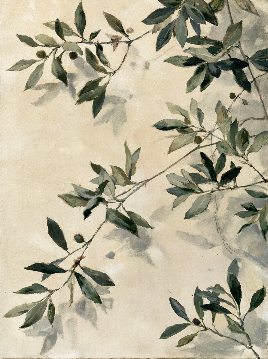 Olive branches with sage and deep green leaves drifting across a warm cream background