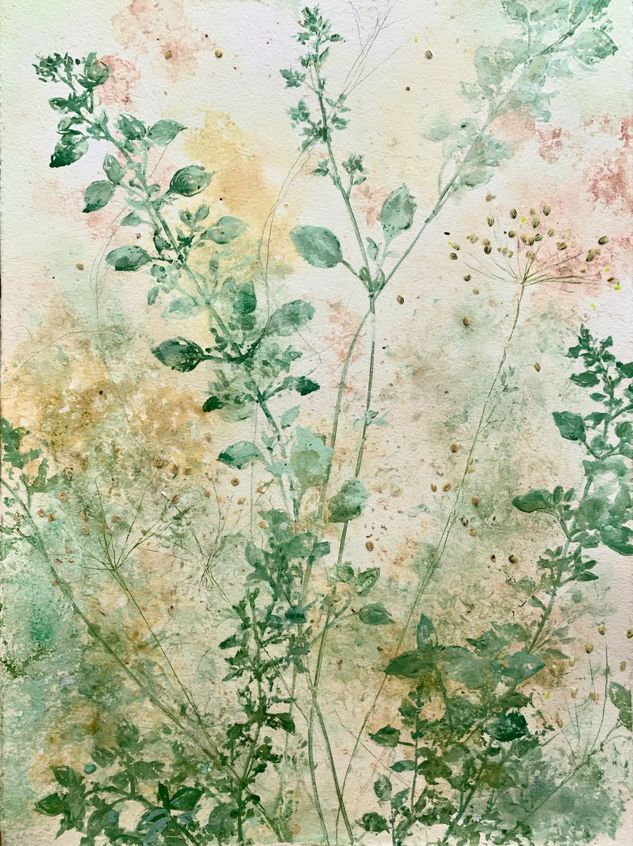 Loose herb stems with rounded sage leaves, blush specks, and pale cream ground