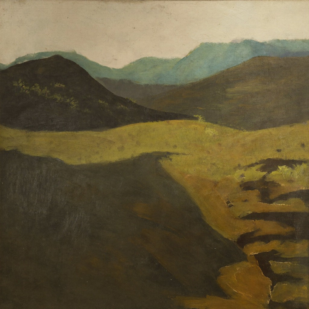 Dark foreground slopes, yellow valley band, and blue-green mountain ridges under a pale sky