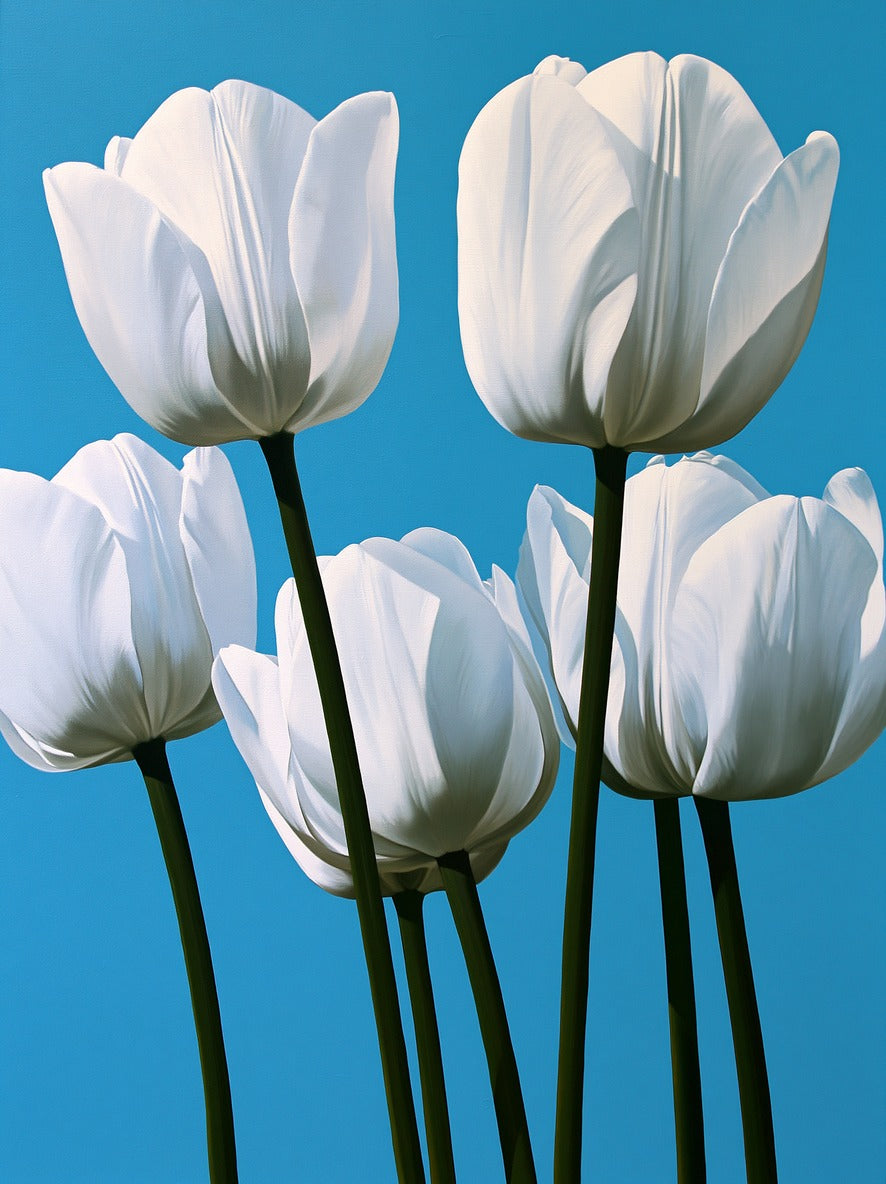 White tulips with tall deep green stems against a bright blue background