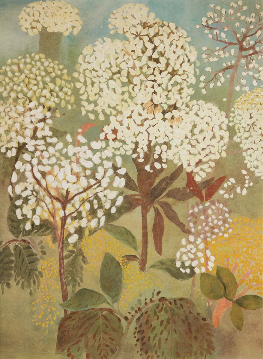 Blossom Canopy — Flowering Trees Canvas Wall Art