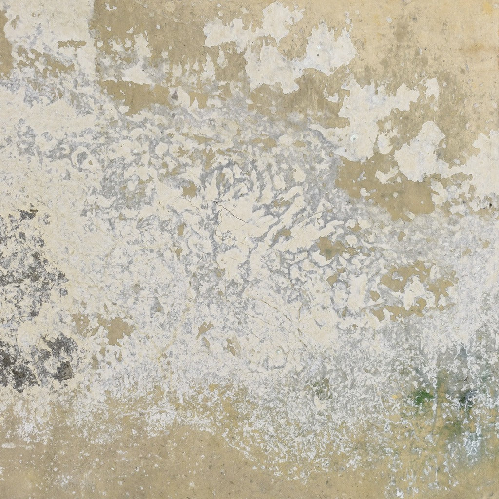 Weathered Plaster — Cream Taupe Abstract Canvas Wall Art