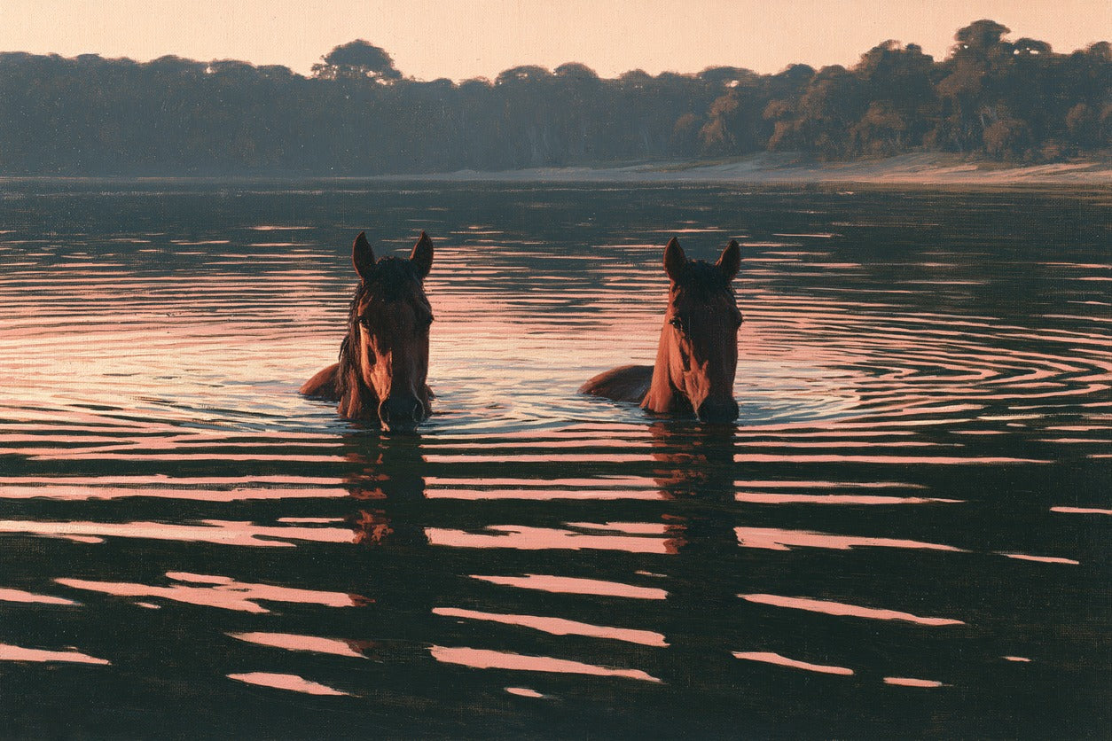 Two brown horses wading chest-deep in dark water with peach sunset reflections and a low shore
