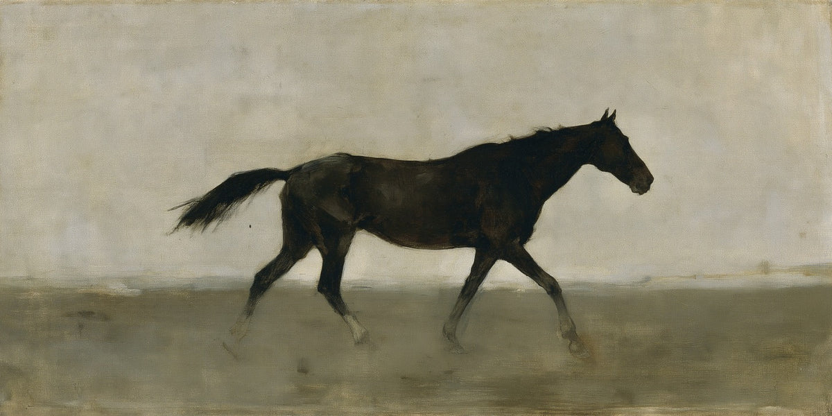 Single dark horse crossing a pale open field with a low horizon and muted ground