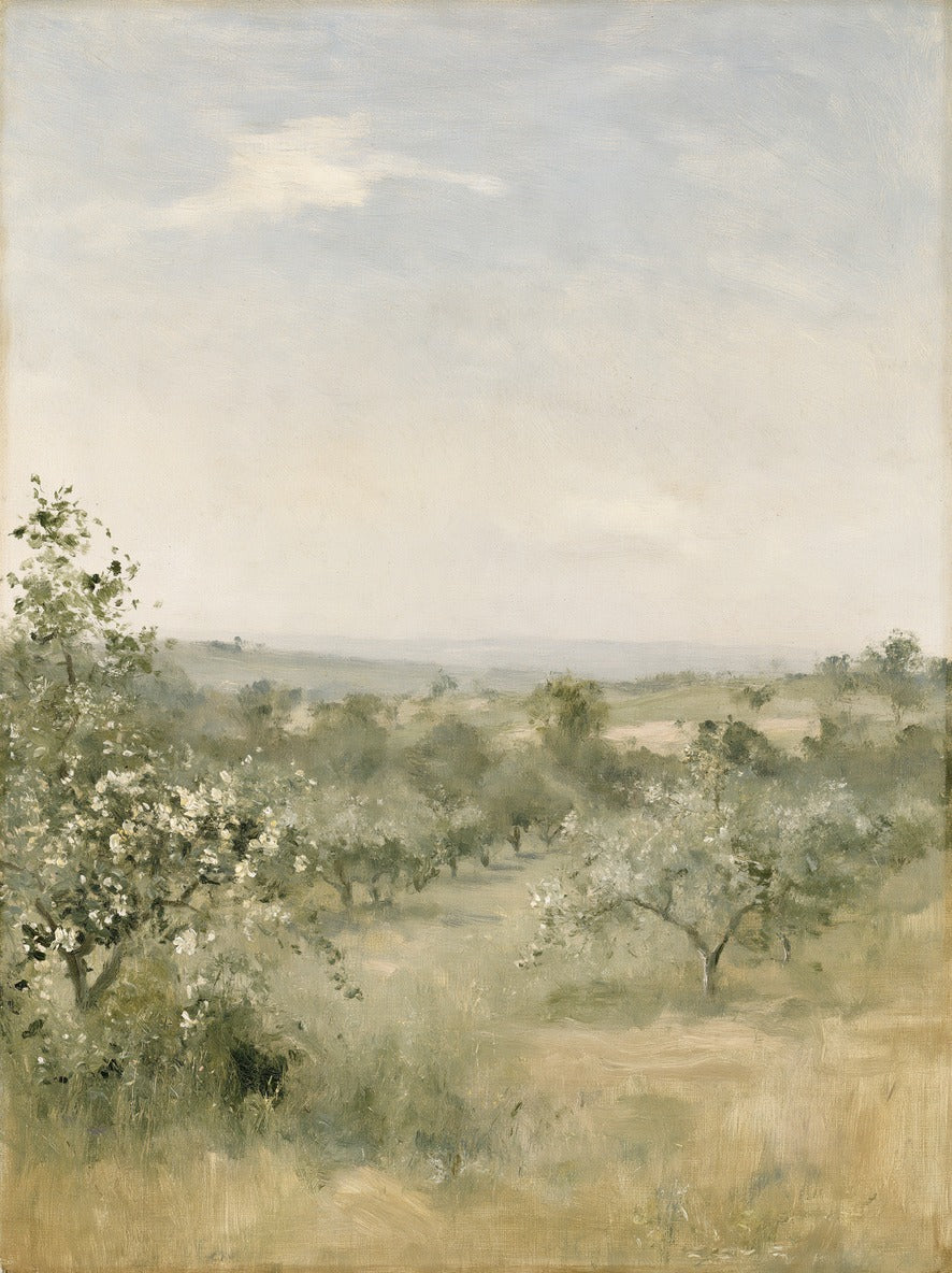 Late Orchard — Orchard Landscape Canvas Wall Art