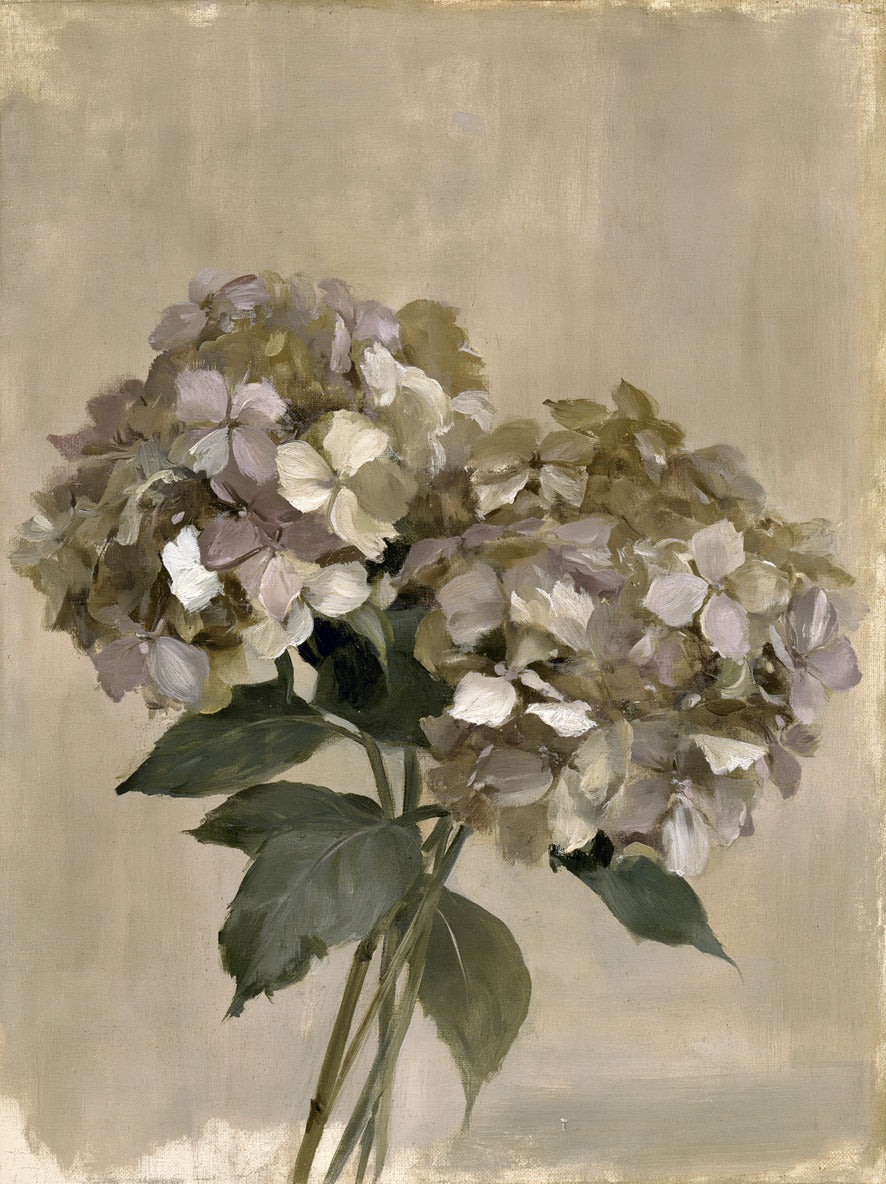 Soft Bough — Hydrangea Canvas Wall Art