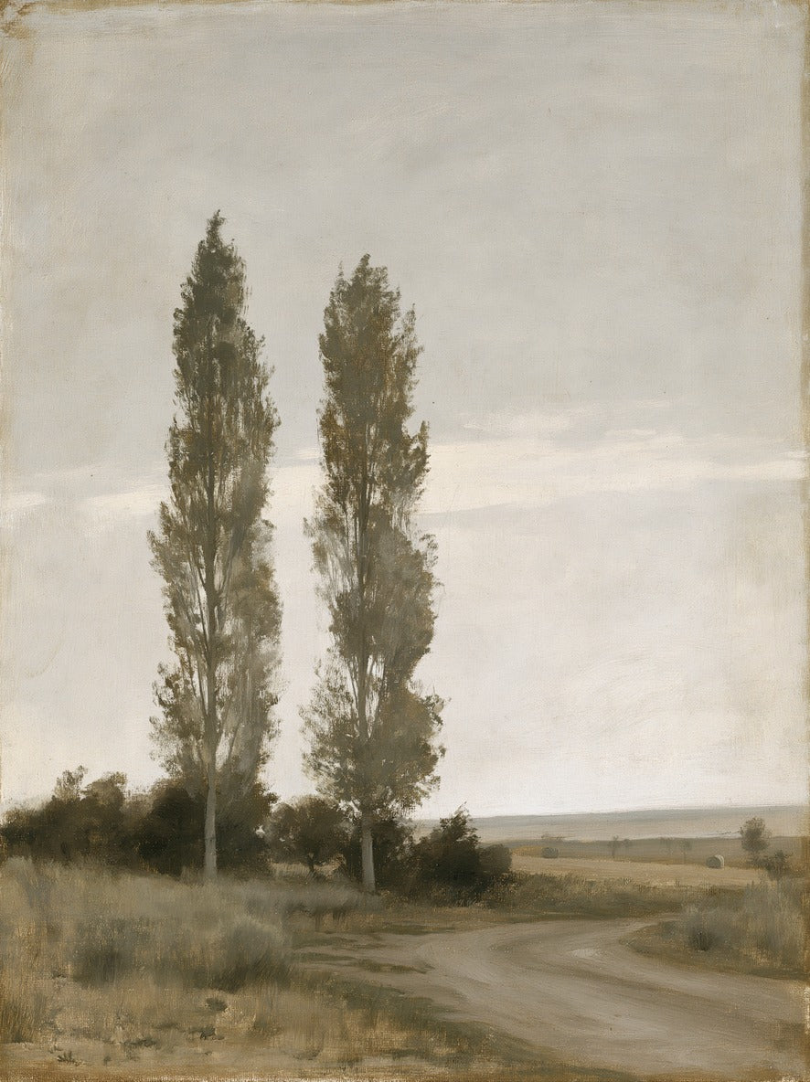Poplar Bend — Poplar Trees Canvas Wall Art