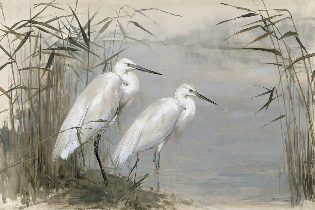 Two white herons standing among tall reeds beside pale gray-blue water