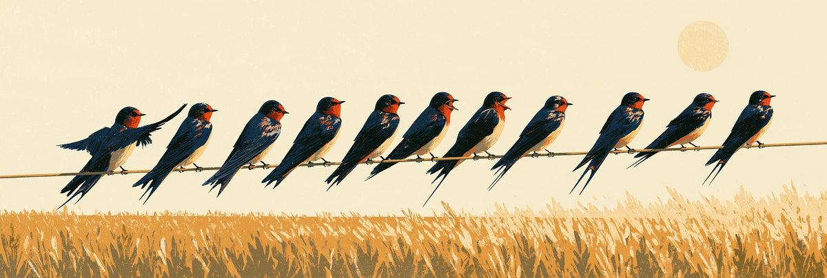 Barn swallows lined along a wire, with navy wings and red throats above an ochre field and cream sky